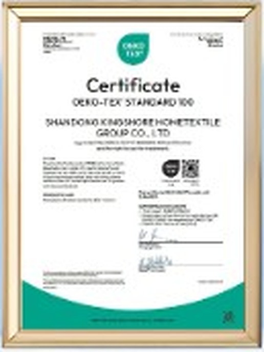 certificate-06-under-50kb